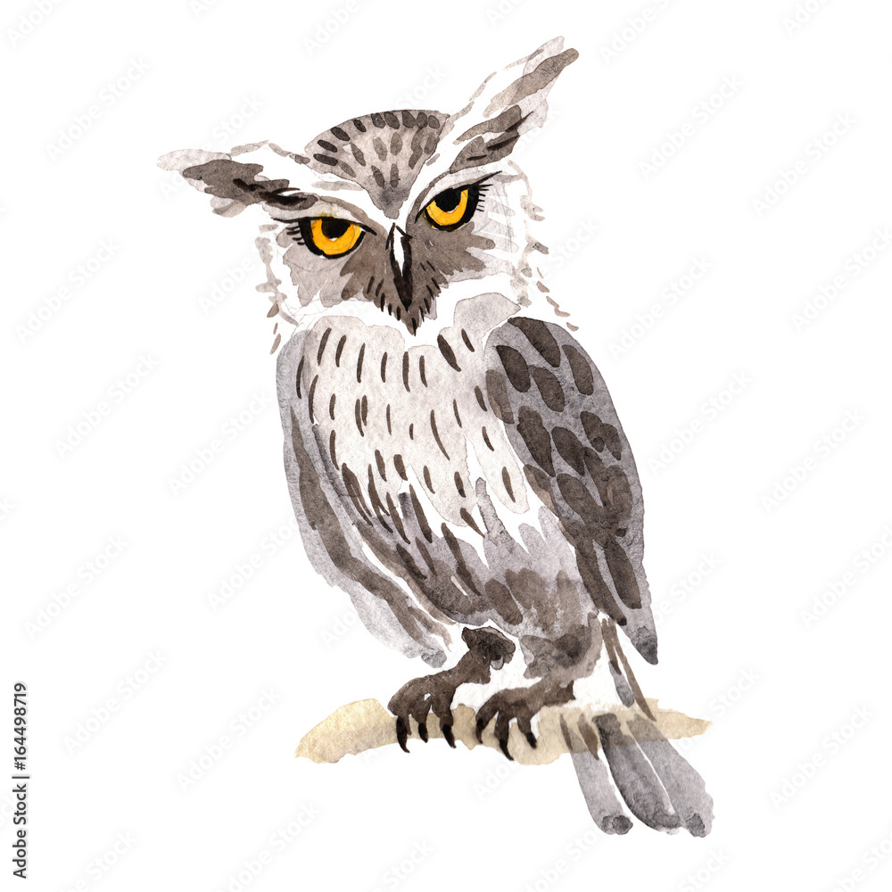 Obraz premium Sky bird owl in a wildlife by watercolor style isolated. Wild freedom, bird with a flying wings. Aquarelle bird for background, texture, pattern, frame, border or tattoo.