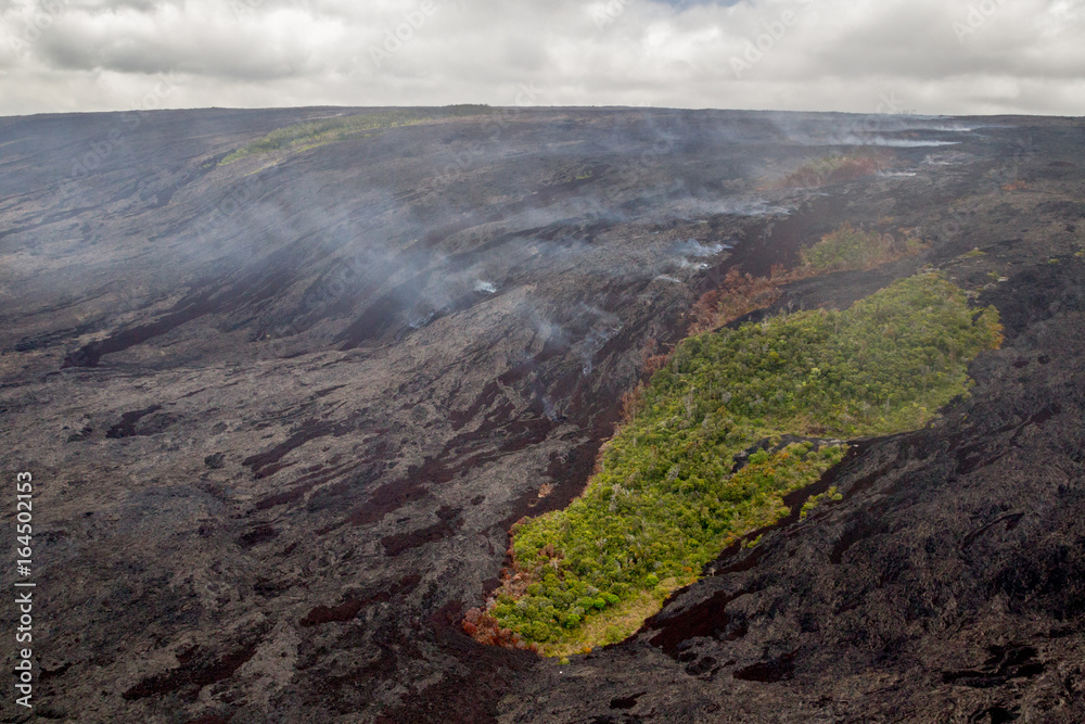 Luftaufnahme von Waldresten zwischen vulkanischen Dämpfen am Berghang des aktiven Vulkans Kilauea an der Südküste von Big Island, Hawaii, USA.