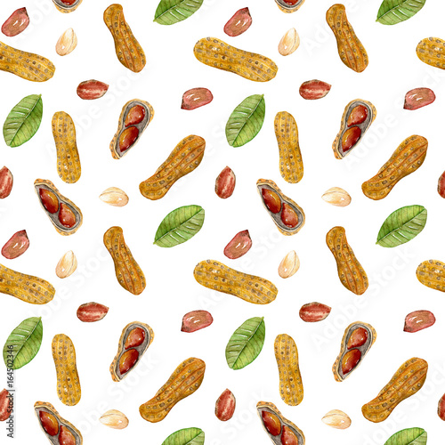 Seamless pattern with watercolor peanut elements, hand painted isolated on a white background