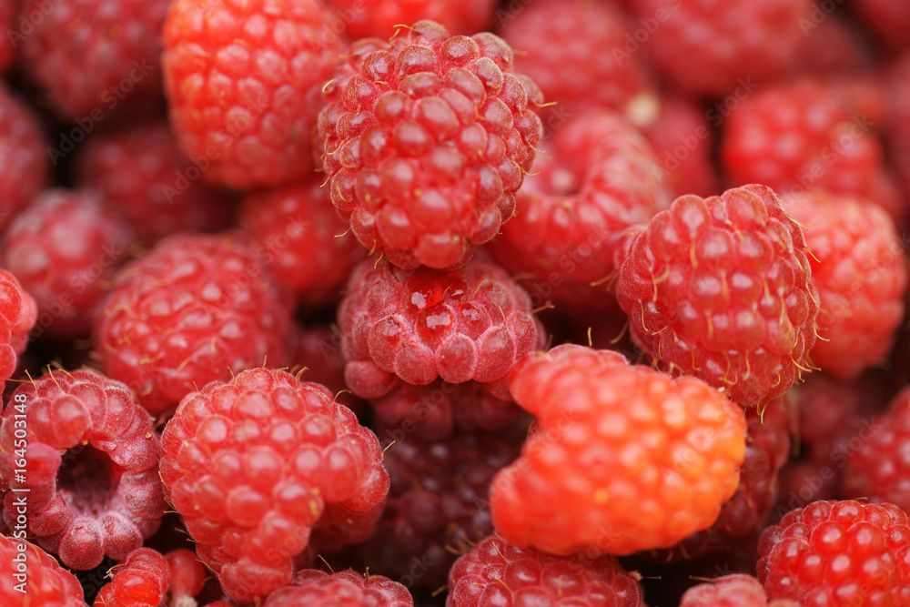 Bright ripe raspberry Bright ripe raspberry