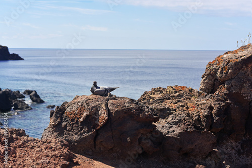 Mountains near Atlantic Ocean coasts