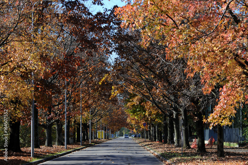 Podzim Աշուն पतझड़ Mùa Syksy thu 秋季 Autunno ฤดูใบไม้ร่วง Höst Jesen Outono Herfst Autumn Осень Toamnă Jesień Haust Otoño Automne خريف 