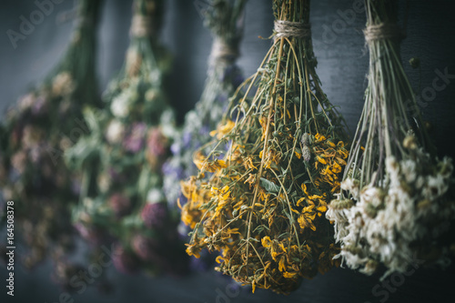 Fototapeta Naklejka Na Ścianę i Meble -  Hanging bunches of medicinal herbs and flowers, focus on hypericum flower St. Johns wort. Herbal medicine. Retro toned.