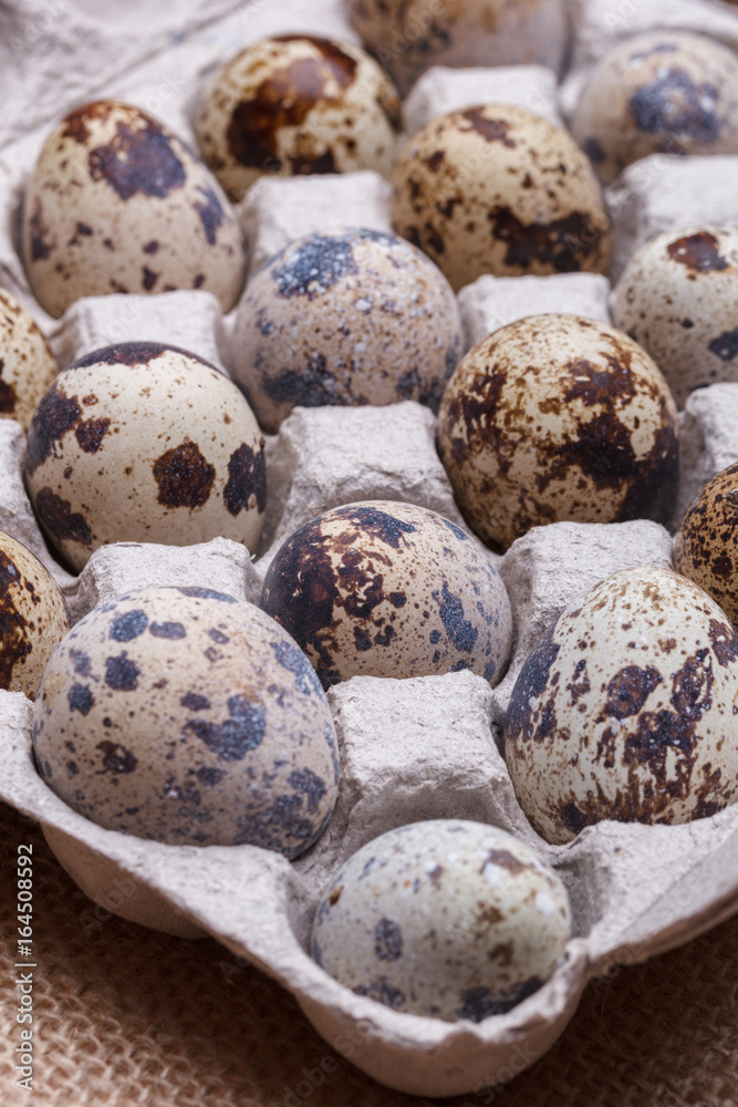 Quail eggs in a cardboard package close-up Quail eggs in a cardboard package close-up