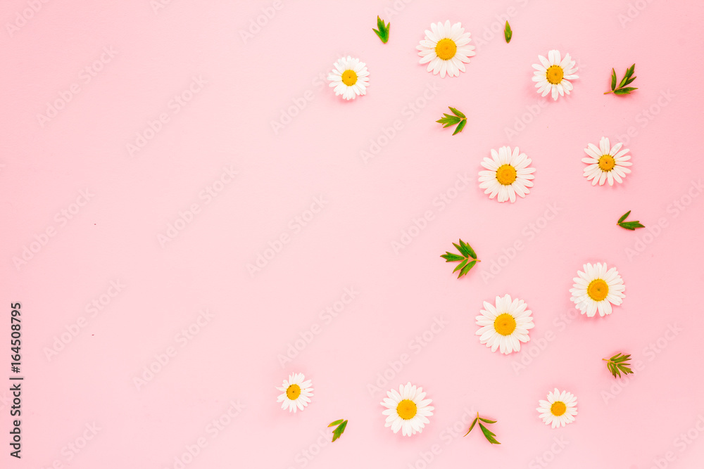 Chamomile flowers and green leaves on pink background. Flat lay, top view Chamomile flowers and green leaves on pink background. Flat lay, top view