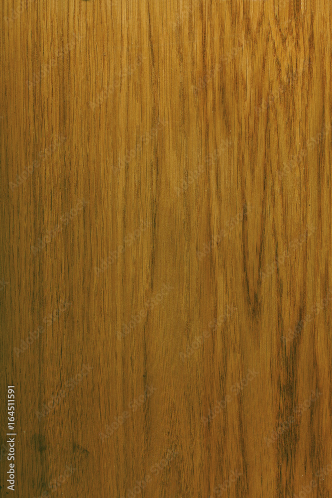 Wood oak texture Wood oak texture