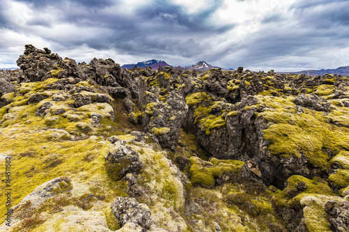 Berserkjahraun lava field in Snaefellsnes peninsula, Iceland