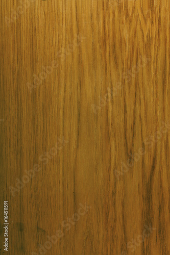 Wood oak texture