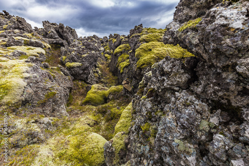 Berserkjahraun lava field in Snaefellsnes peninsula, Iceland