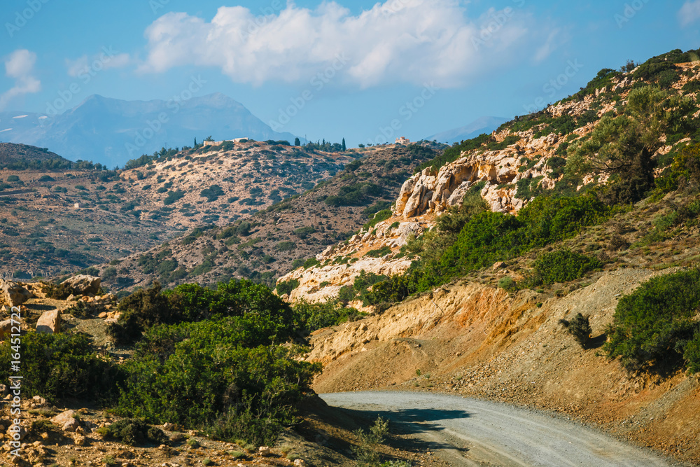 olive fields on Crete Island in Greece, Cretan landscape