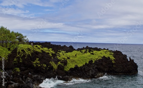 Coastline