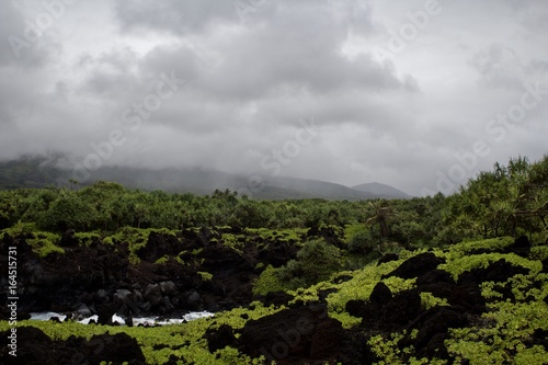 Mountains