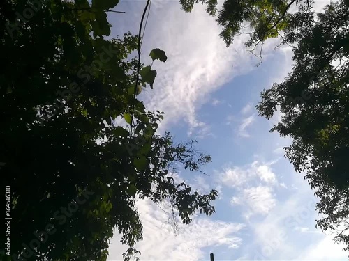Time lapse of moving cloud of summer sky