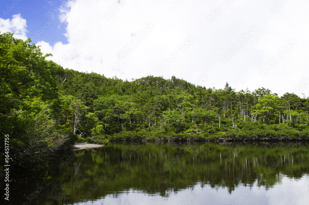 Obraz premium 夏山の風景