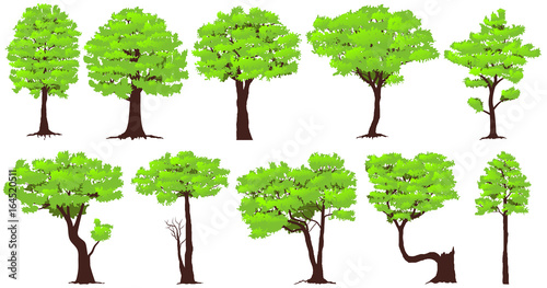 Set of trees