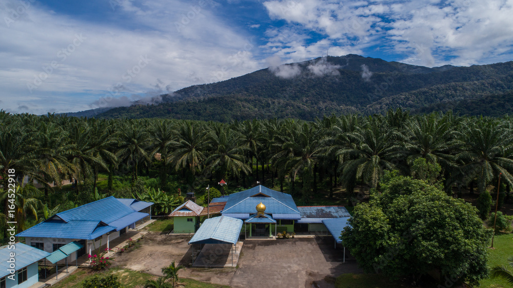 aerial, beautiful, beauty, cloud, cloudy, field, green, holiday, landscape, lifestyle, masjid, mosque, mountain, natural, nature, outdoor, palm oil, scenic, sky, spring, sunny, top, tree, view	
