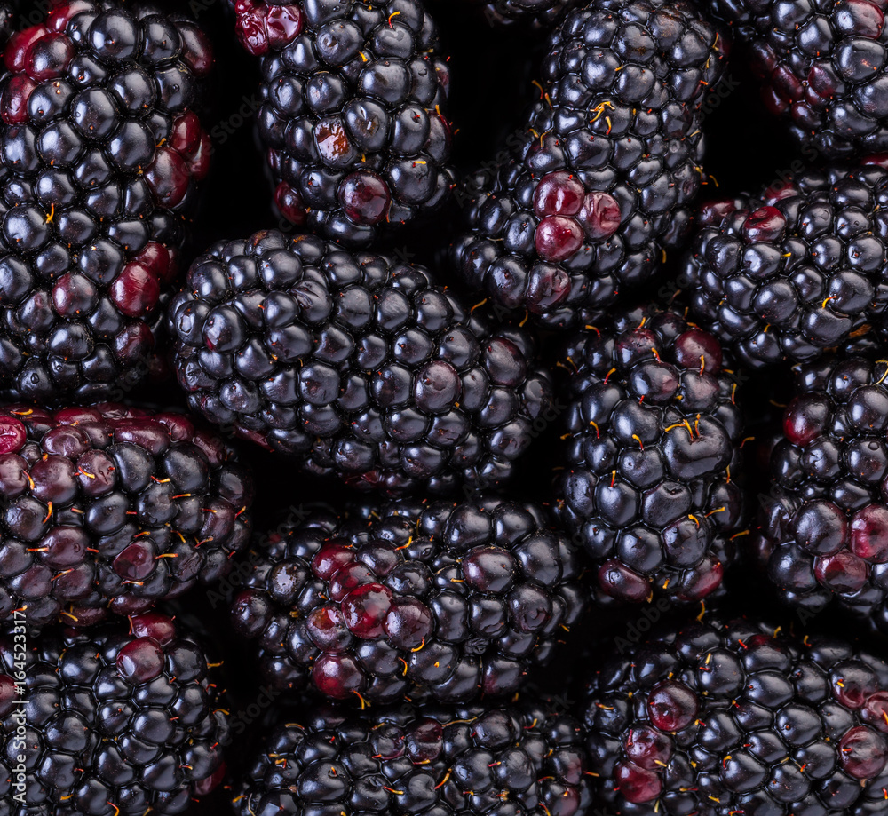 Abstract berry background Abstract berry background