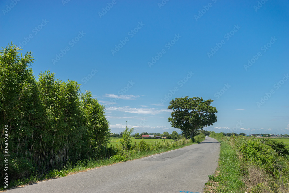 Naklejka premium 田園風景