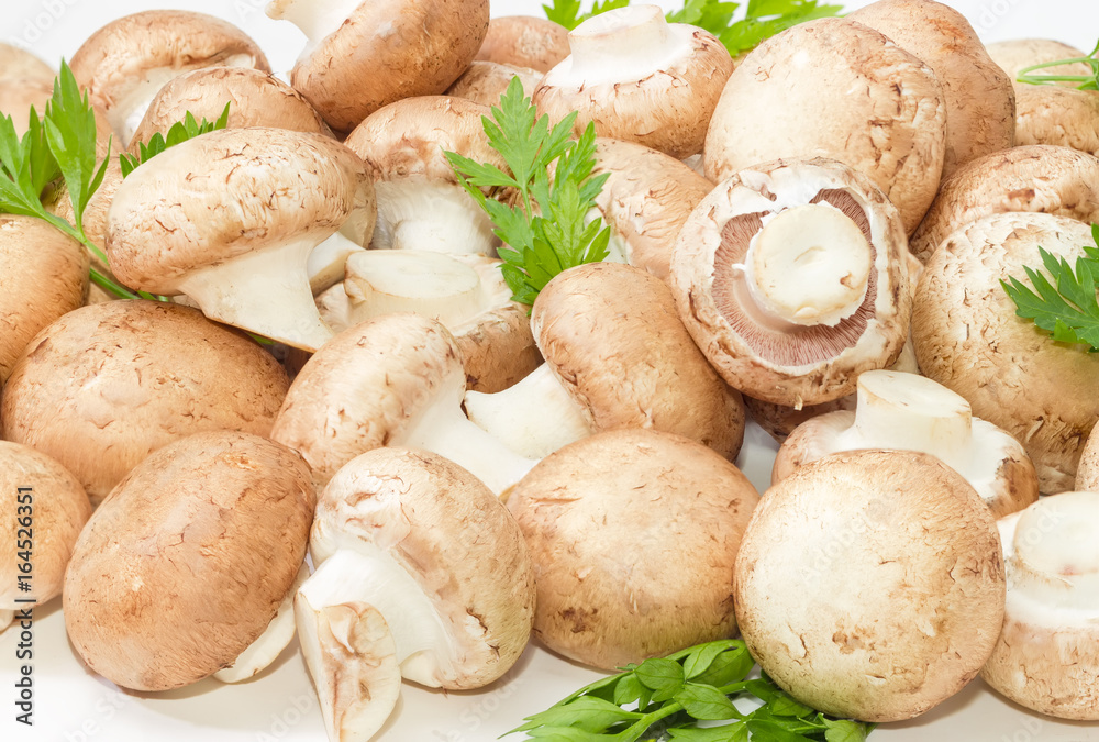 Background of the button mushrooms with parsley twigs Background of the button mushrooms with parsley twigs