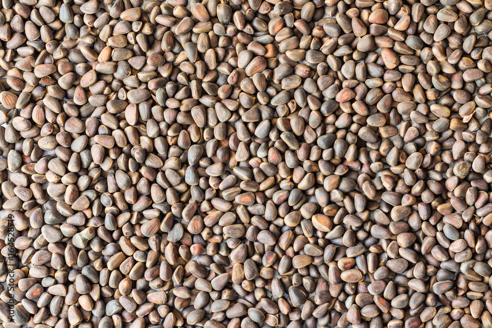 Pine nuts Pine nuts