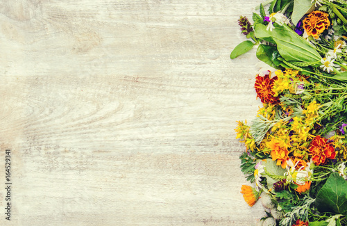 Herbs. Medicinal plants. Selective focus.   photo