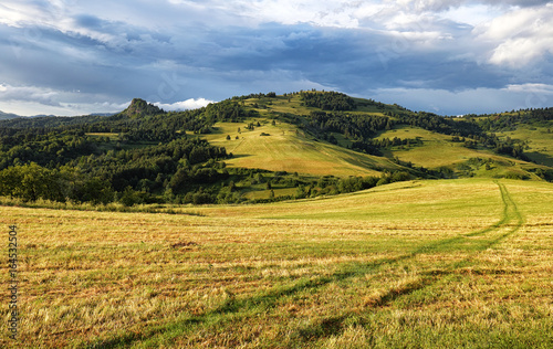 Meadow in mountain after storm