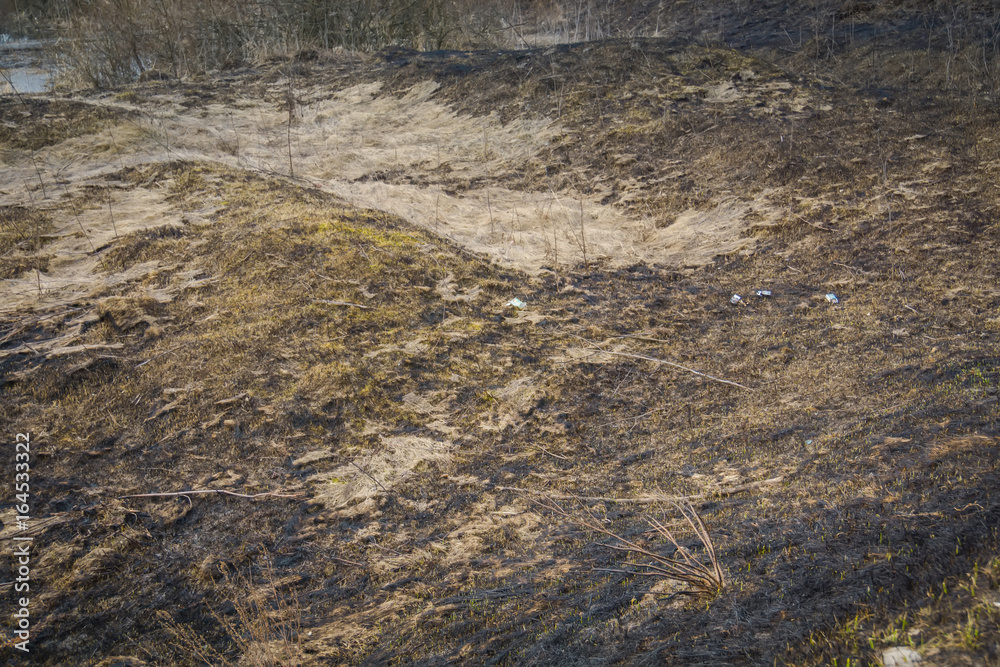 Burned Grass in the Field Burned Grass in the Field