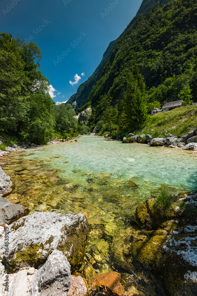 Fototapeta premium Turquoise water in Soca river, Slovenia