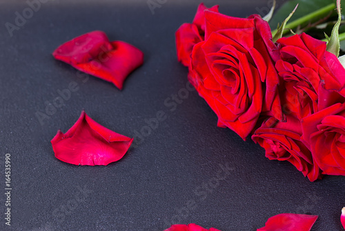 Red rose and petals on black