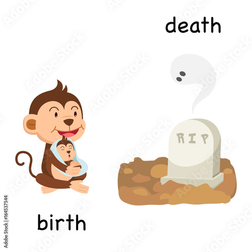 Opposite birth and death illustration