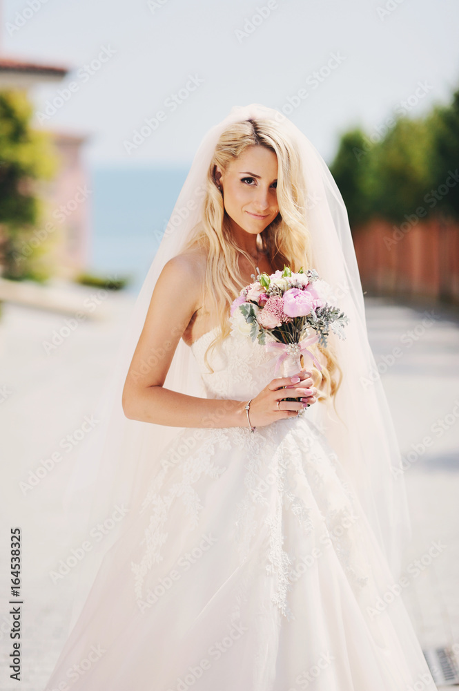 image of incredibly beautiful bride, the fair-haired girl in a white dress and a veil. Portrait of the young girl in a white dress image of incredibly beautiful bride, the fair-haired girl in a white dress and a veil. Portrait of the young girl in a white dress