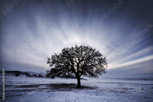 Halo effect around the sun in winter, Dobrogea, Romania © bereta