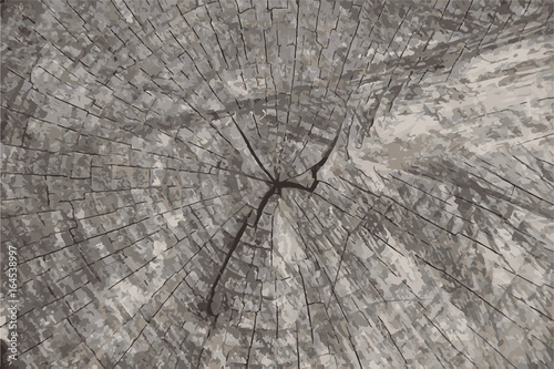 Vector grunge texture background.Natural wooden texture backdrop.
