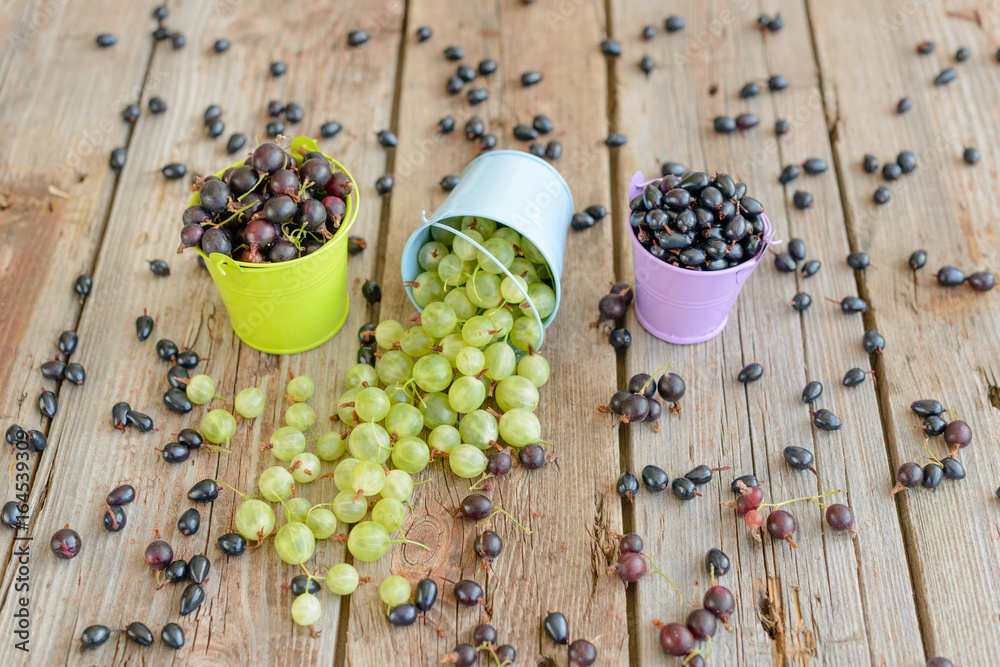 Gooseberry and blackcurrant in buckets. It can be used as a background