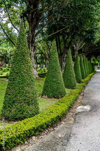Road in the park