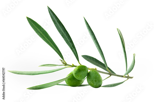 Green olive branch with berries, isolated on white