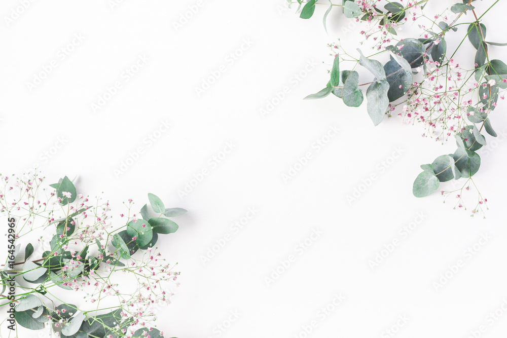 Obraz Kompozycja kwiatów. Rama wykonana z różowych kwiatów łyszczec i gałęzi eukaliptusa na białym tle. Leżał płasko, widok z góry, miejsce na kopię