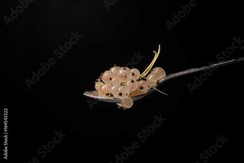 Gooseberry isolated over black background. photo