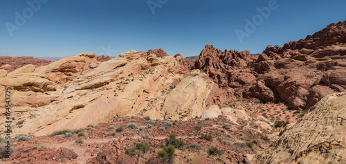 Desert canyon with red rocks
