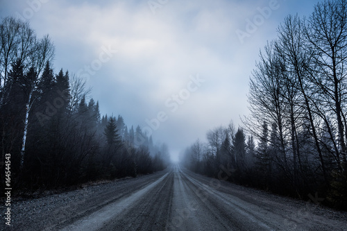 Spooky Fog and Bad Visibility on a Rural Road in Forest