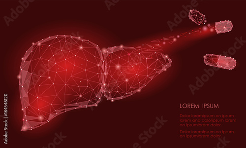 Treatment regeneration decay Human Liver Internal Organ Triangle Low Poly. Connected dots red color technology 3d model medicine capsule tablet drug vector illustration