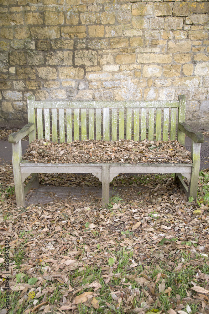 Bench in Winter with Leaves, Broadway; Cotswolds