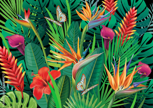 Background with exotic tropical flowers