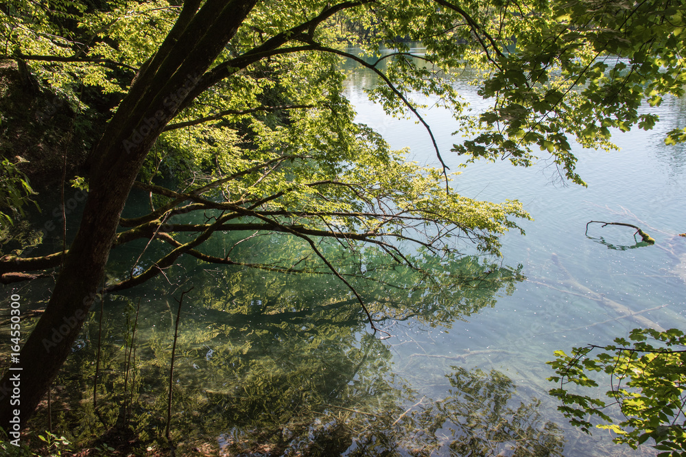 Fototapeta premium Paysage de la nature dans le parc national des lacs de Plitvice en Croatie 