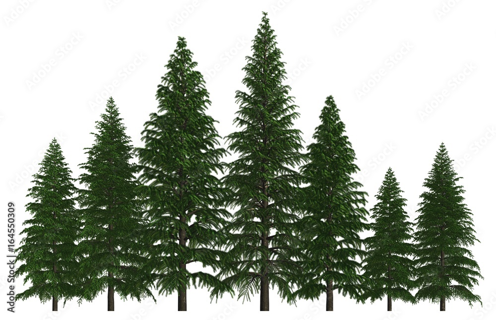 Group of trees isolated on white 3d illustration Group of trees isolated on white 3d illustration