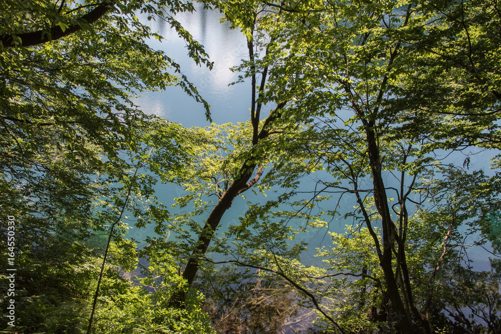 Fototapeta premium Paysage de la nature dans le parc national des lacs de Plitvice en Croatie