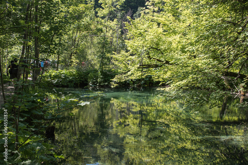 Paysage de la nature dans le parc national des lacs de Plitvice en Croatie 