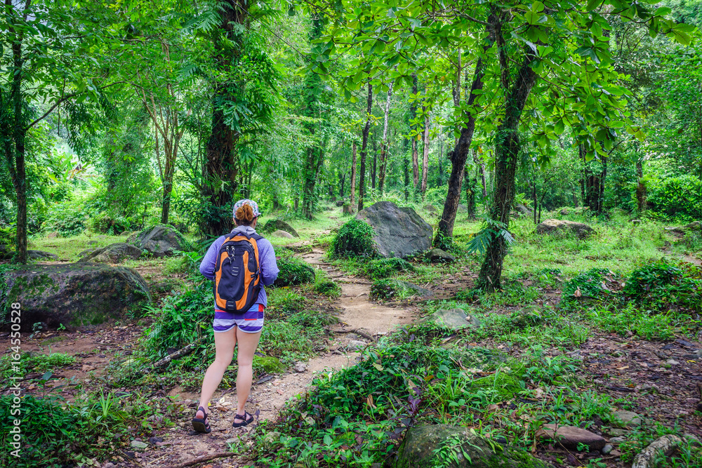 Obraz premium Adventuress or traveler woman go hiking on trail in forest. The tropical jungle in Southeast Asia.