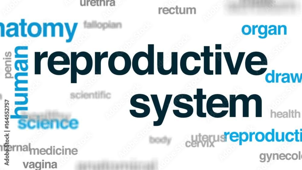 Reproductive system animated word cloud, text design animation. Reproductive system animated word cloud, text design animation.