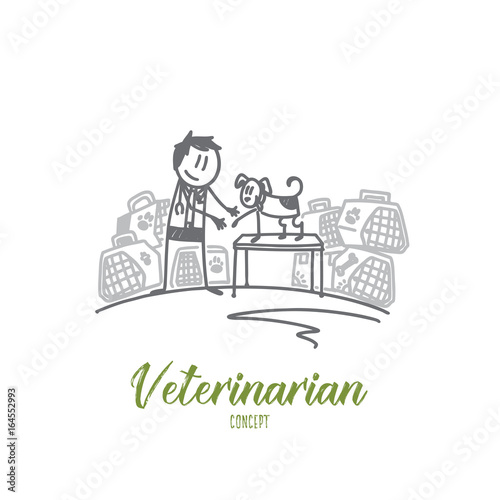 Wallpaper Mural Veterinarian concept. Hand drawn veterinarian in uniform heals a dog in clinic. Animal doctor with a pet isolated vector illustration. Torontodigital.ca